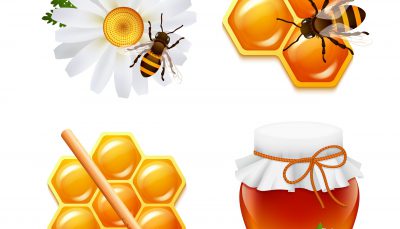 دانلود وکتور لایه باز عسل، زنبور و کندو